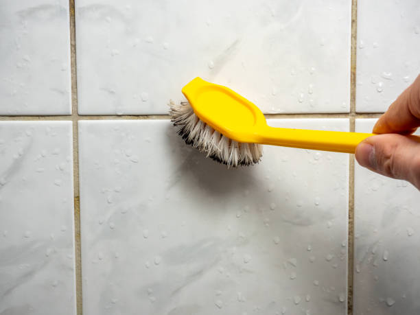 Best Bathroom Mold Remediation in Stanberry, MO
