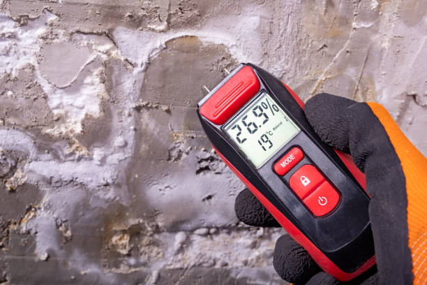 Best Insurance-Related Mold Remediation in Stanberry, MO